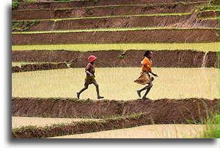 Kids Running to Meet Us::Central Highlands, Madagascar::