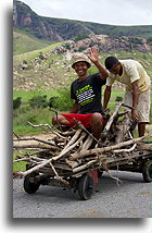 Brushwood Gatherers::Central Highlands, Madagascar::