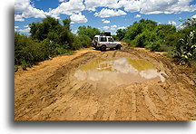 Another Puddle::Ifaty, Madagascar::