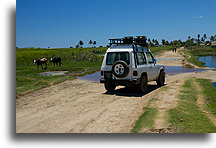 Village by the Road #3::Ifaty, Madagascar::