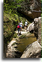 The Gorge Trail::Isalo, Madagascar::