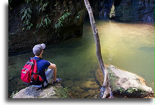 Cascade of the Nymphs::Isalo, Madagascar::