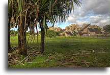 Le Jardin du Roy #2::Isalo, Madagascar::