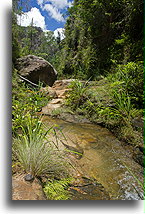 The Gorge #1::Isalo, Madagascar::