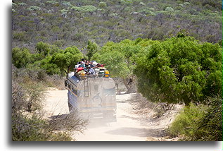 Local Bus::Saint-Augustin, Madagascar::