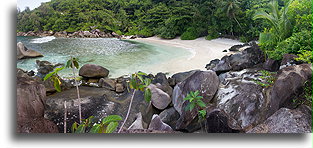 Deserted Beach #1::Mahé, Seychelles::