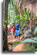 On the trail::Praslin, Seychelles::