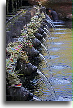 Spout of Holy Water::Bali, Indonesia::