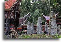 Bori Megaliths::Tana Toraja, Sulawesi Indonesia::