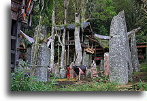 Bori Celebration Field::Tana Toraja, Sulawesi Indonesia::