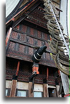 Buffalo Horns::Tana Toraja, Sulawesi Indonesia::