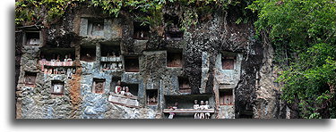 Lemo Graves::Tana Toraja, Sulawesi Indonesia::