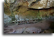 The Row of Sculls::Tana Toraja, Sulawesi Indonesia::