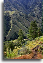 The Valley::Tana Toraja, Sulawesi Indonesia::