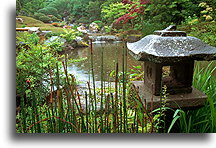 Dragon King Falls::Taizo-in Temple, Kyoto, Japan::