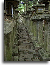 Kasuga Taisha