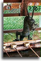 Dragon Font::Kofuku-ji, Nara, Japan::