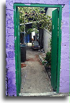 Backyard Behind the Door::Mahibadhoo, Maldives::