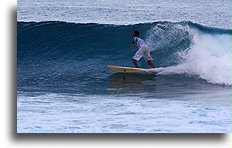 Surfer in Malé::Malé, Maldives::