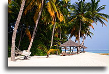 A Hammock and Thatched Umbrellas::Rangalifinolhu Island, Maldives::