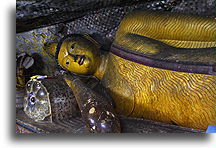 Carved Reclining Buddha::Dambulla, Sri Lanka::