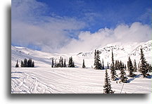 Symphony Amphitheatre::Whistler, British Columbia, Canada::