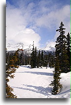 View of Blackcomb::Whistler, British Columbia, Canada::