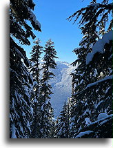 View from the Gladed Trail::Whistler, British Columbia, Canada::