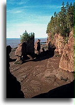 Low Tide at Hopewell Rocks::Hopewell Rocks, New Brunswick, Canada::