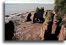 Bay of Fundy Low Tide::Hopewell Rocks, New Brunswick, Canada::