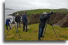 Taking Pictures::Newfoundland, Canada::