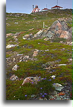 Bonavista Lighthouse::Bonavista, Newfoundland, Canada::