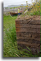 Turf::L'Anse aux Meadows, Newfoundland, Canada::