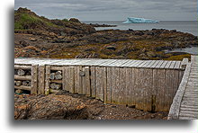 My First Iceberg::Iceberg in Conche Bay::