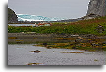 A Mass of Ice::Iceberg from the distance::