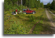 Night Spent Near Conche::I was camping alone somewhere in the forest::