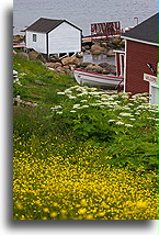 Red Bay Waterfront::Labrador, Canada::