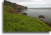 Fundy Bay