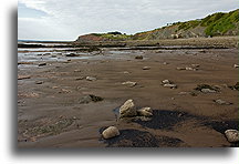 Low Tide, Joggins Cliffs::Joggins, Nova Scotia, Canada::