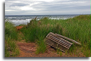 Old Lobster Pot::Prince Edward Island, Canada::