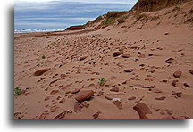 Long Sandy Beach::Prince Edward Island, Canada::