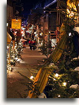 Chistams trees on rue du Petit-Champlain::Quebec City, Québec, Canada::