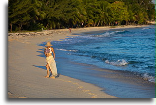 Drill Hall Beach::Barbados, Caribbean::