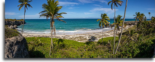 Harrismith Bay::Barbados, Caribbean::