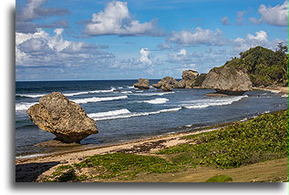 Bathsheba Rocks::Barbados, Caribbean::