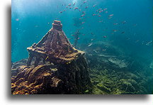 Wreck of Berwyn::Barbados, Caribbean::