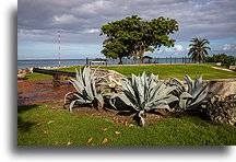 Remains of the Fort::Barbados, Caribbean::