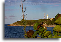 Ragged Point::Barbados, Caribbean::