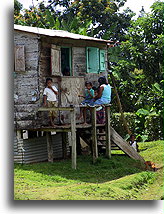 Carib Children::Dominica, Lesser Antilles::