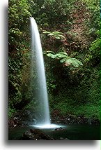 Spanny's Twin Falls::Dominica, West Indies::